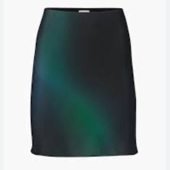 Aritzia Dresses & Skirts - Aritzia Babaton Slip Mini Skirt